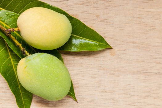 Close up Wild mango on wooden background