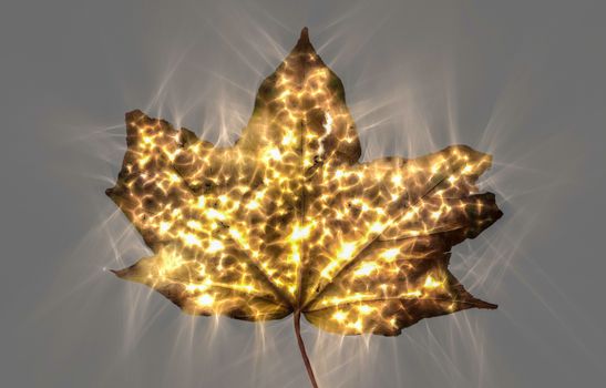 Kirlian glowing photography of beautiful autumn leaves showing a lot of energy