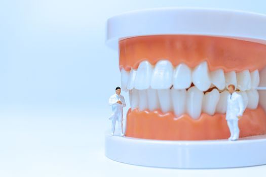 Miniature people : Dentist observing and discussing about human teeth with gums