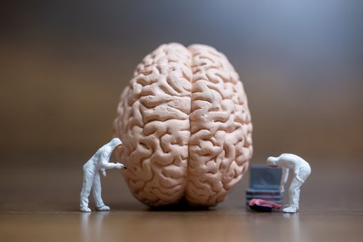 Miniature people , Scientist observing and discussing about human brain , Medical healthcare and surgical doctor service concept.
