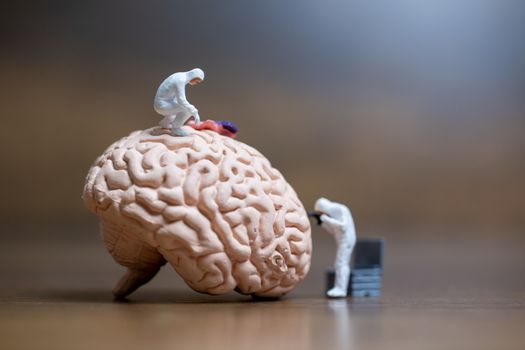 Miniature people , Scientist observing and discussing about human brain , Medical healthcare and surgical doctor service concept.