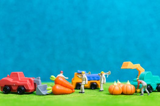 Miniature people : Farmers harvesting a vegetables , Agriculture concept