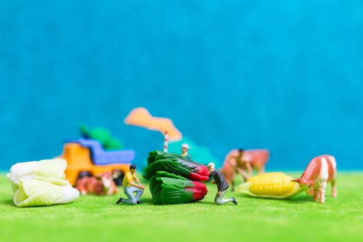 Miniature people : Farmers harvesting a vegetables , Agriculture concept