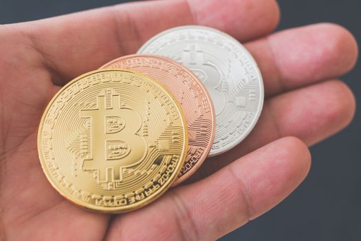 Bitcoin Cryptocurrency Digital Bit Coin BTC Currency Technology Business Internet Concept.