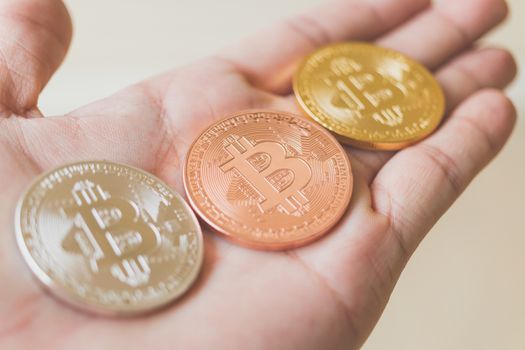 Bitcoin Cryptocurrency Digital Bit Coin BTC Currency Technology Business Internet Concept.