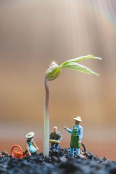 Miniature people , Gardeners take care growing sprout in field , Environment concept