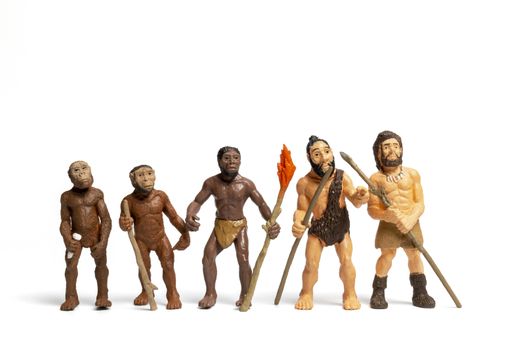 Human Evolution . Man Evolution Historical   Monkey, Neanderthal, Homo Sapiens, Primate With Weapon.