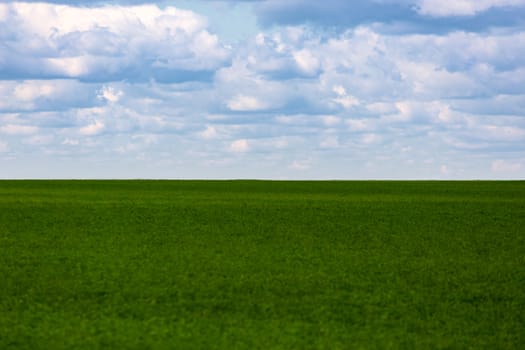 flat green soybean field with cloudy sky and focus on background with optically blurred foreground.