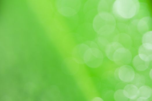 Bokeh circles green background