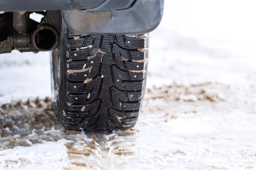 an unadorned picture of winter car wheel with metal spikes on snow close-up.