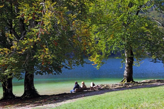 A couple sits on a bench and enjoys nature