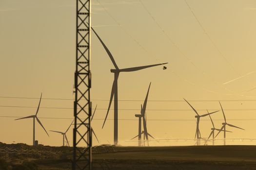 Silhouettes of wind turbines in operation, while agricultural irrigation systems work automatically at sunset, in the region of Ribera Alta del ebro, in Aragon, Spain