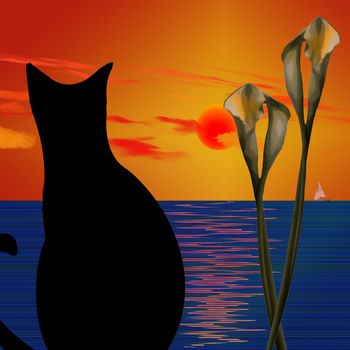Black Cat. Ocean sunset