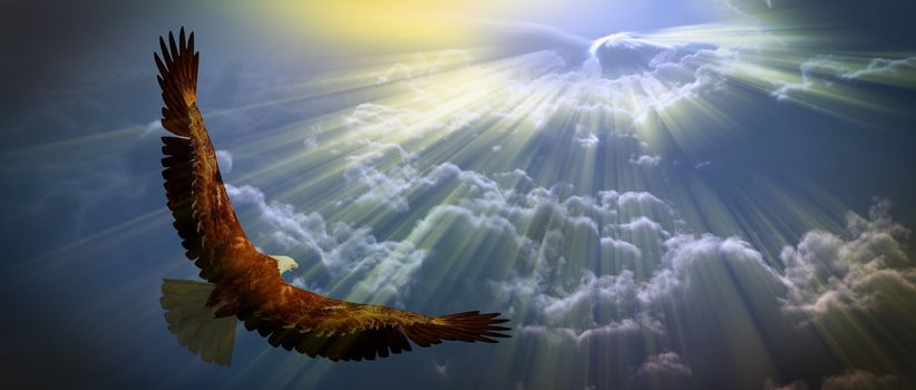 Eagle in flight above the clouds. 3D rendering