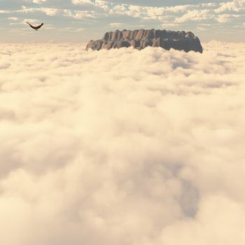 Eagle above the clouds. Mountain top