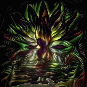 Beautiful Lotus Flower Abstraction