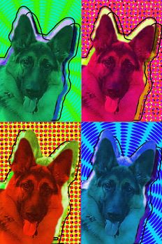 Funny colorful dogs. German shepherd