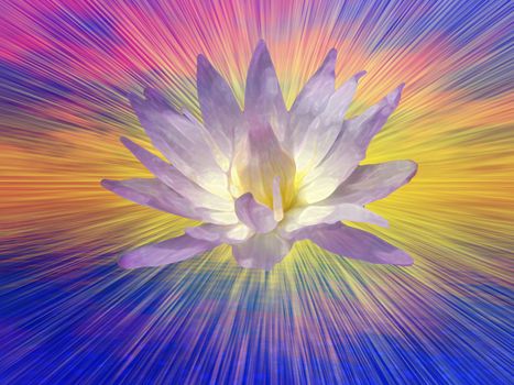 Lotus Flower on Vivid Background. Artwork for creative graphic design