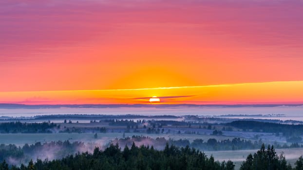 foggy flatland riverside at summer sunrise with trees in foreground - centered composition