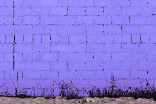 violet plaster rough brick wall texture under direct sunlight with snow and dry gasss under