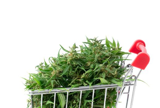 fresh marijuana flower in shopping cart isolated on white background