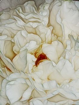 Peony Flower Petals. Abstract Background