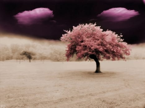 Surreal landscape with red tree and purple clouds