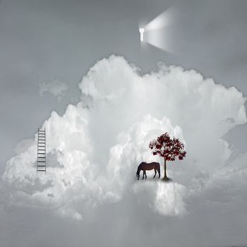 Dream Scene with clouds, tree and horse