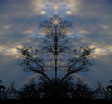 Surreal trees at the dusk. 3D rendering