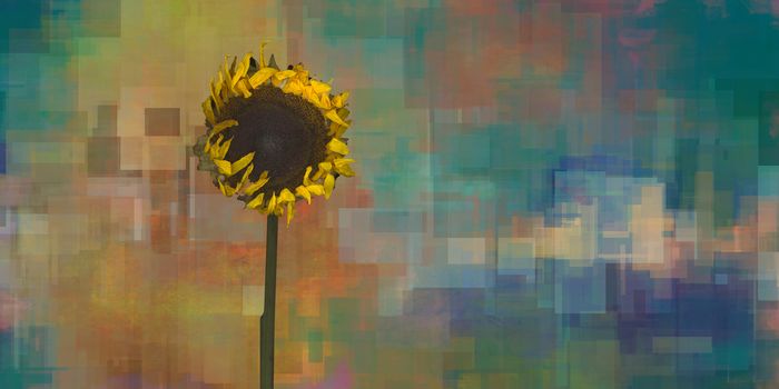 Sunflower on modern geometric abstract background