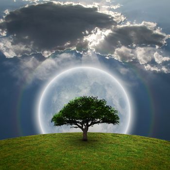 Green Tree. Bright moon and rainbow. 3D rendering