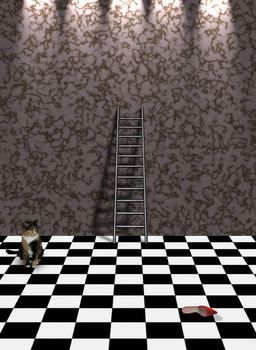 Cat in empty room. Red shoe and ladder