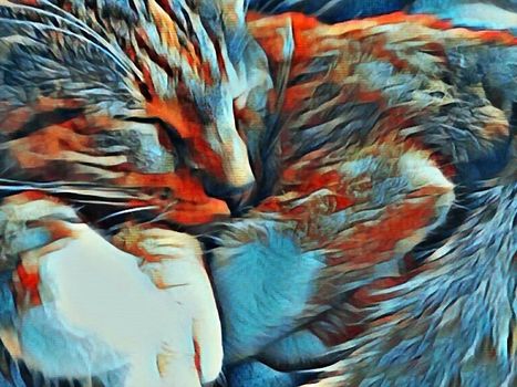Digital Painting. Sleeping cat. 3D rendering