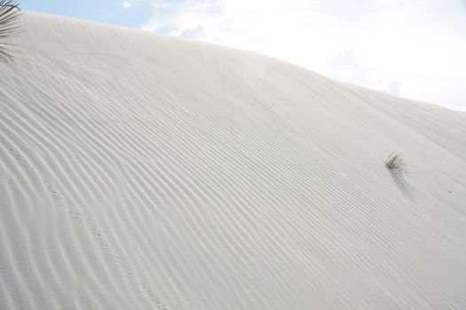 White sands. Dunes with sandy waves