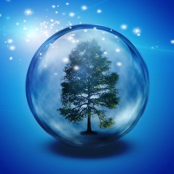 Green tree inside crystal ball