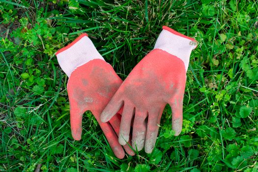 Looking Down on Red and White Gardening Gloves Laying in a Patch of Green Grass