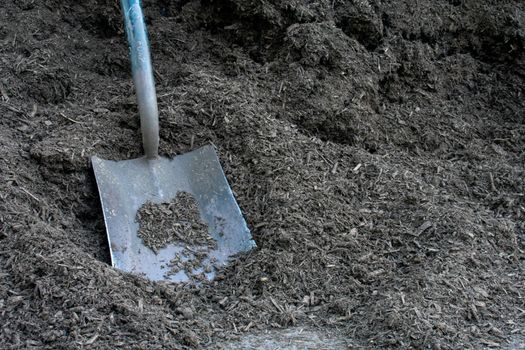A Large Black Square Shovel Resting on a Pile of Black Woodchip Mulch
