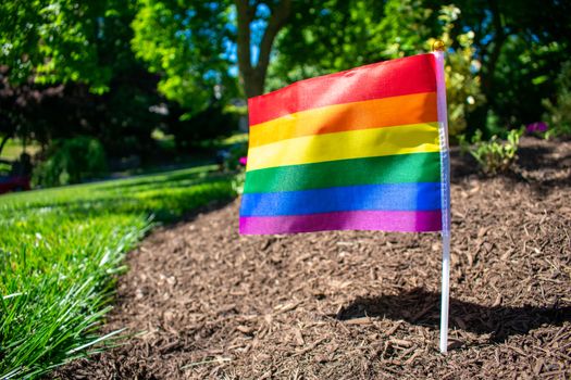 A Small Gay Pride Flag in a Bed of Black Mulch on a Front Lawn