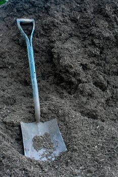 A Large Black Square Shovel Resting on a Pile of Black Woodchip Mulch