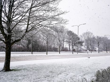 White Winter Wonderland in Leherheide, snow in Bremerhaven, Germany.