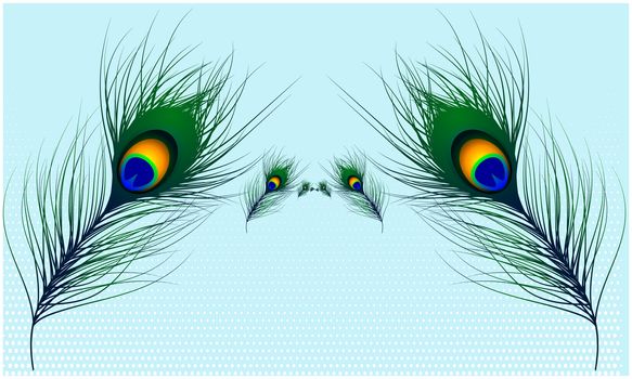 vector design of peacock hair on light abstract backgrounds