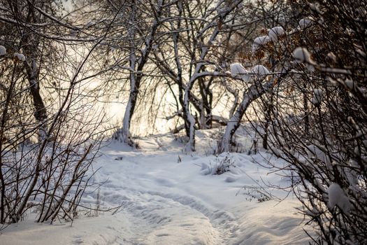 winter road tyrn between bushes ant morning with selective focus.