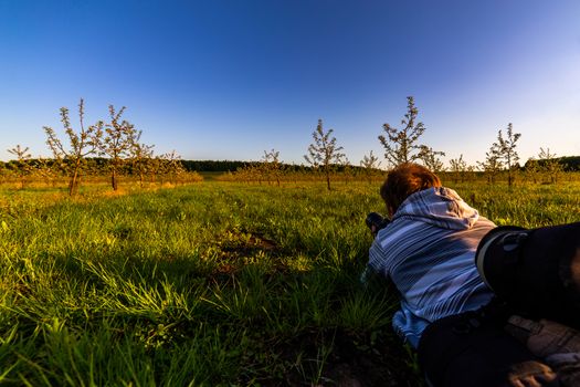 Professional photographer laying on ground and shooting in young apple garden. Selective focus wide angle technique with foreground blur.