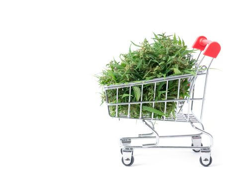 fresh marijuana flower in shopping cart isolated on white background