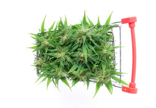 fresh marijuana flower in shopping cart isolated on white background