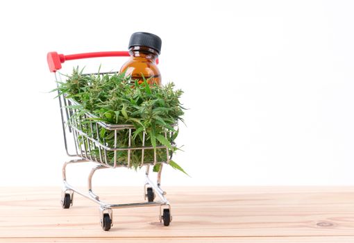 cannabis with cannabidiol (cbd) extract on white background