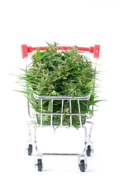 fresh marijuana flower in shopping cart isolated on white background