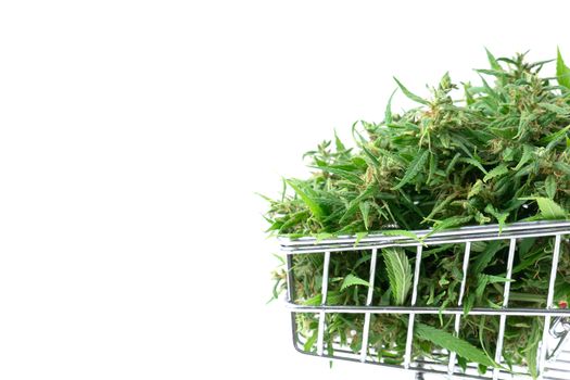 fresh marijuana flower in shopping cart isolated on white background