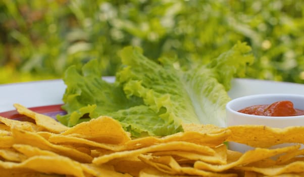 Close up crispy potato chips, ketchup and lettuce on a plate outdoors on blurry natural background. Macro shooting food in a country farm. Snack in the garden