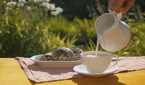 Adding milk into a cup of coffee. Close up hand holding a milk jug. Breakfast in the garden